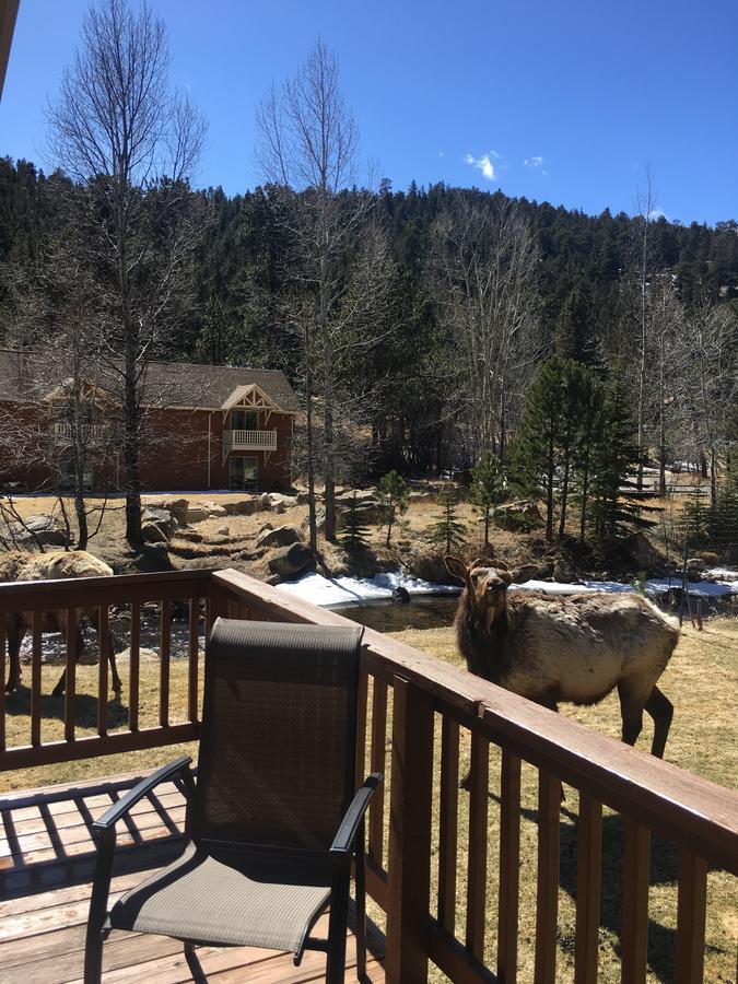 Riverview Pines Villa Estes Park Eksteriør billede