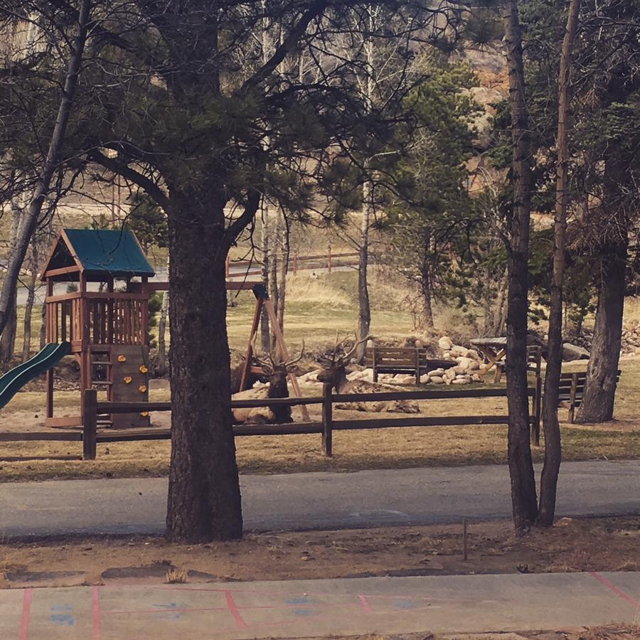 Riverview Pines Villa Estes Park Eksteriør billede