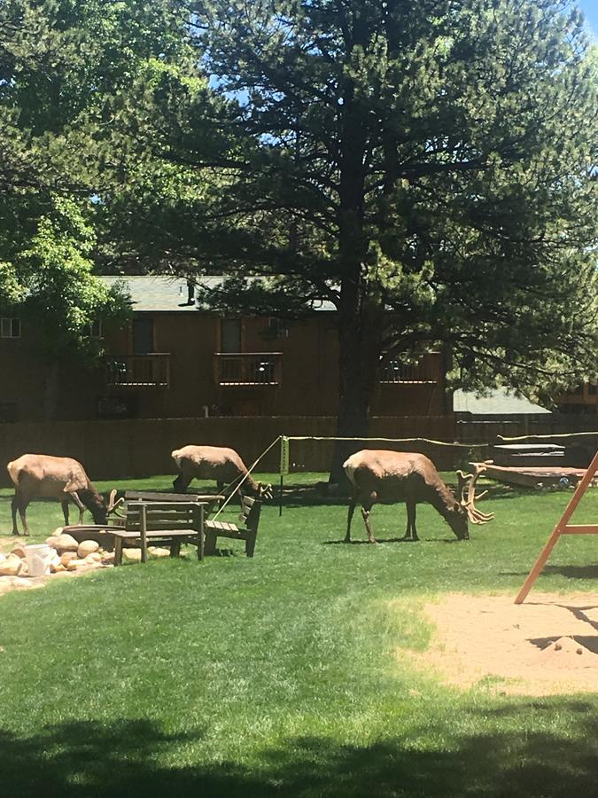 Riverview Pines Villa Estes Park Eksteriør billede