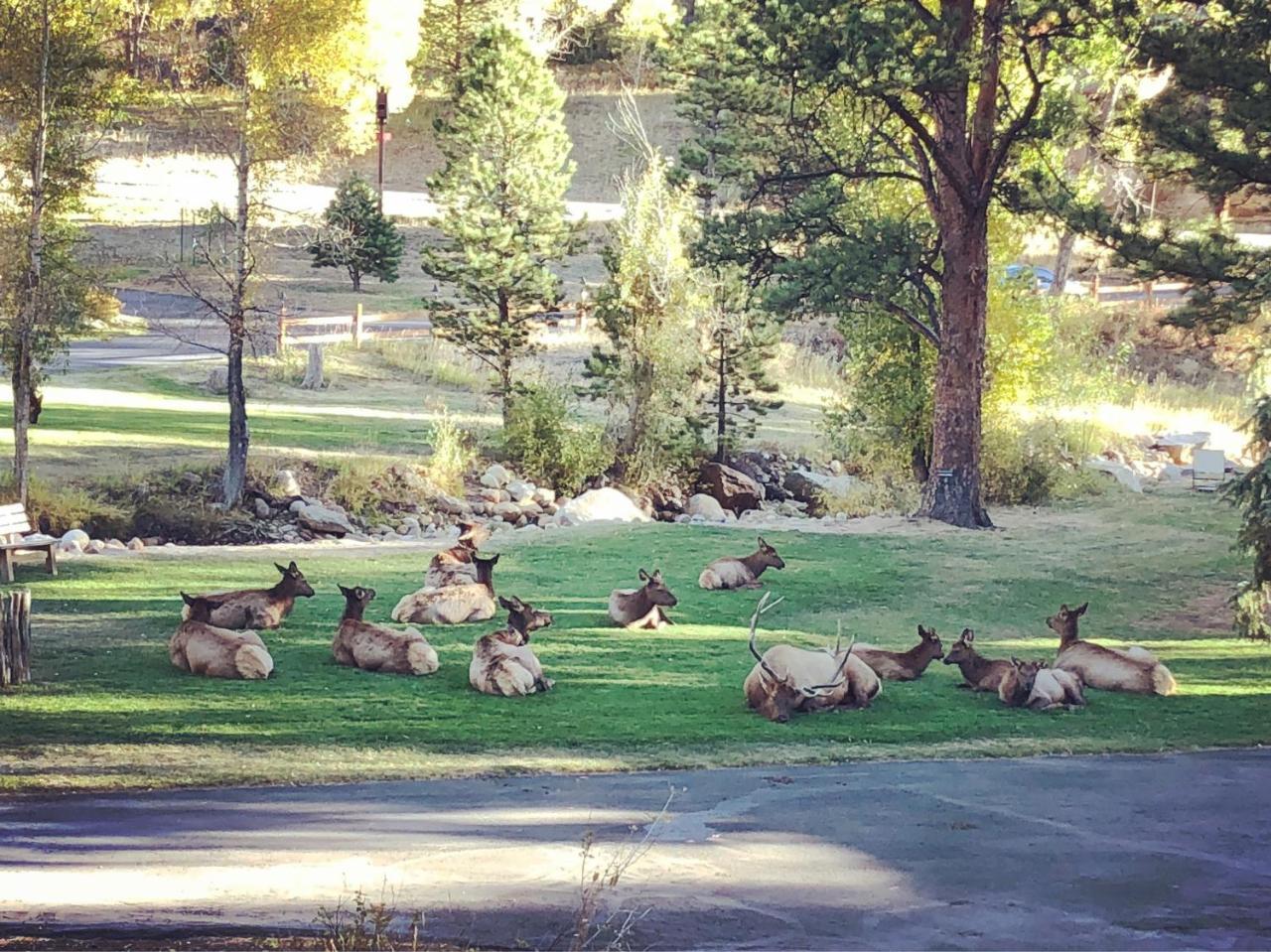 Riverview Pines Villa Estes Park Eksteriør billede
